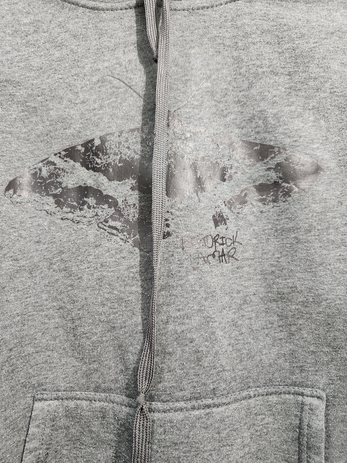 Close-up of a heather gray zip-up hoodie featuring a distressed black graphic of a moth on the chest and a drawstring hood.